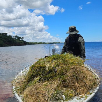Polícia Militar Ambiental apreende 700 metros de rede de pesca armada no Rio Paraná